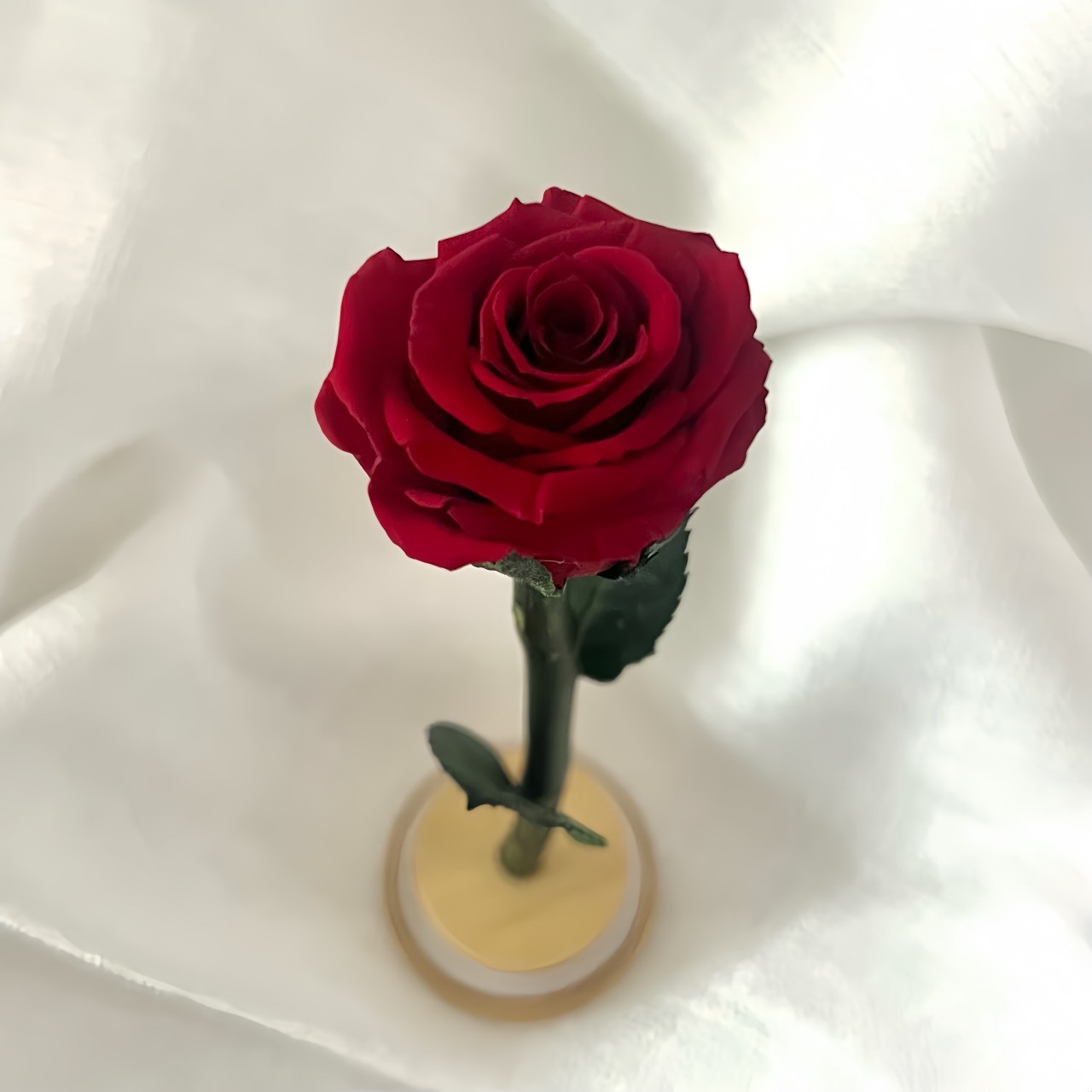 厄瓜多ROSEAMOR 單枝玫瑰(含玻璃罩)