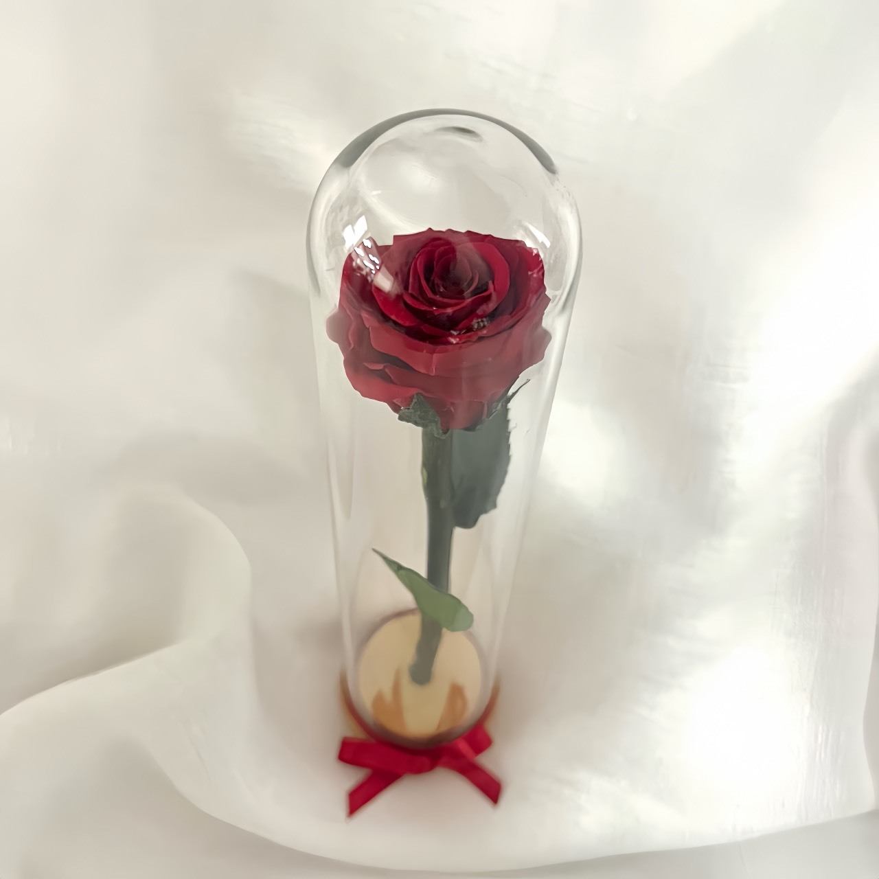 厄瓜多ROSEAMOR 單枝玫瑰(含玻璃罩)