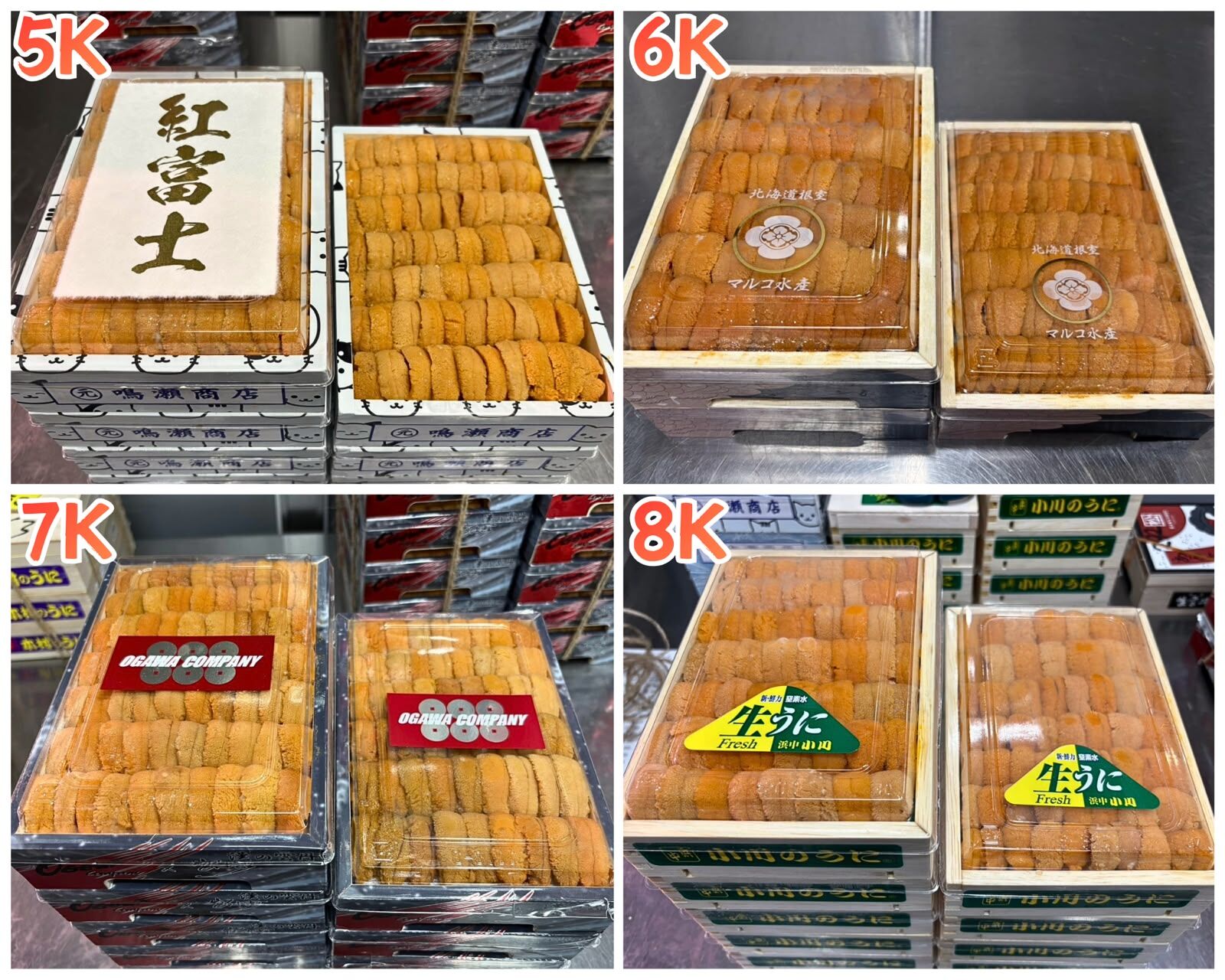 【指定海膽推薦】每天更新 (限即日落單, 翌日送)