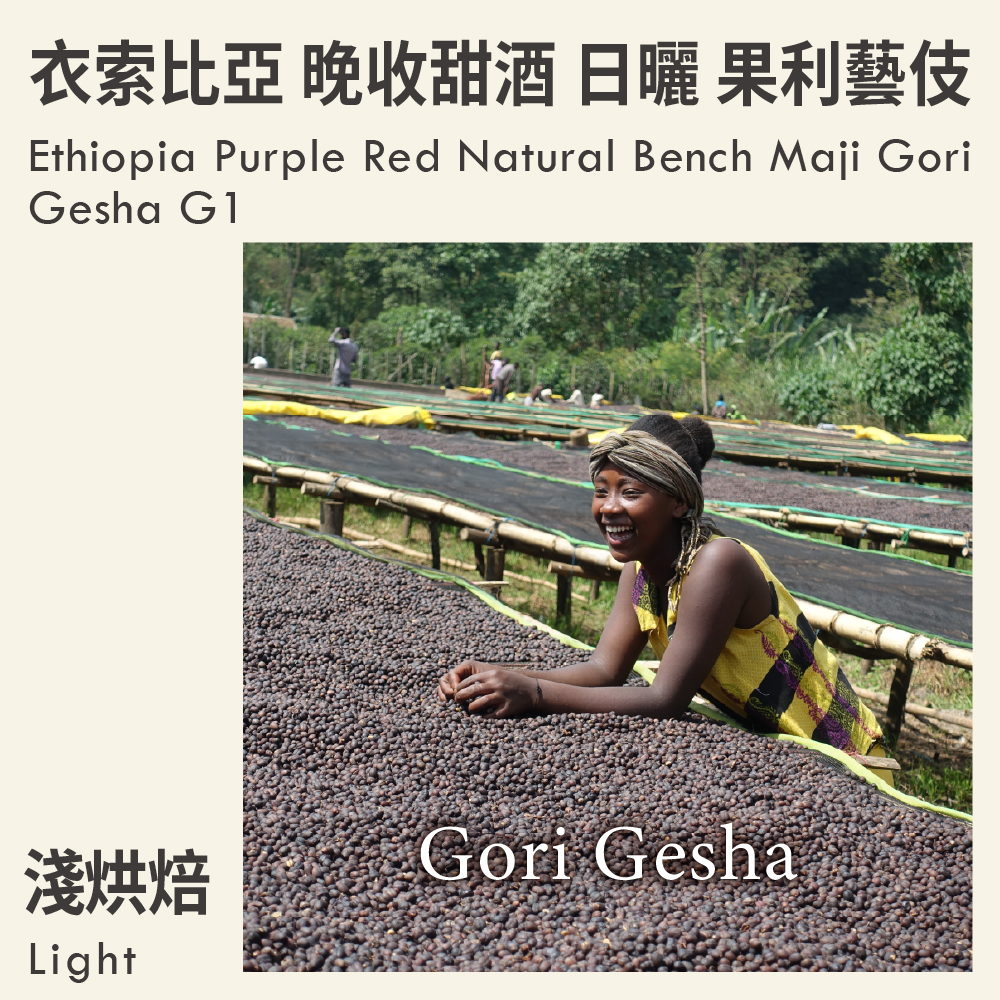 衣索比亞 晚收甜酒 日曬 班奇馬吉 果利藝伎 G1