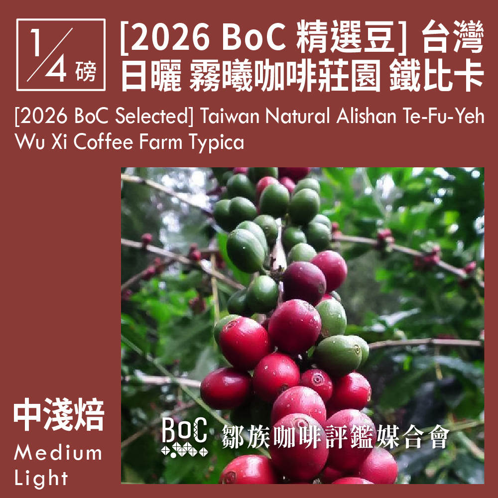 [2026 BoC 精選豆] 台灣 日曬 阿里山山脈 特富野 霧曦咖啡莊園 鐵比卡 0.25磅