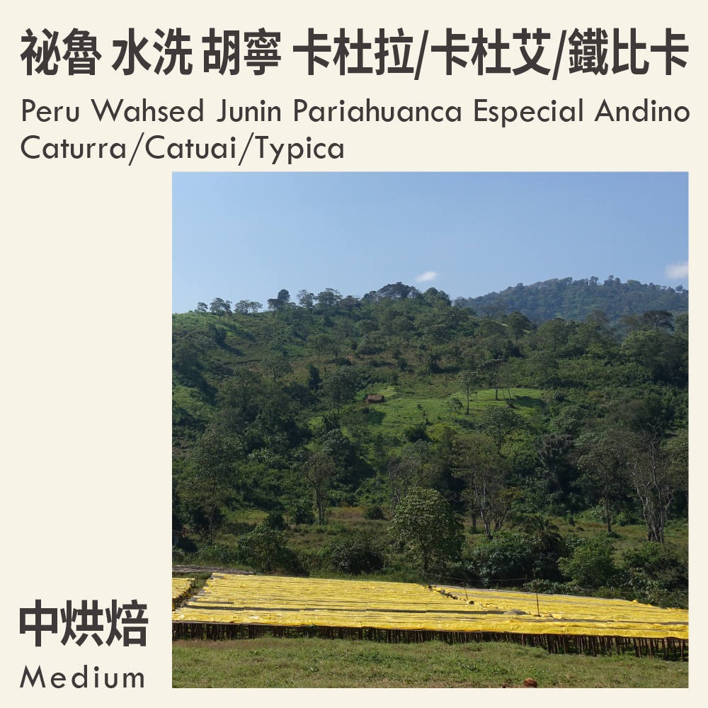 祕魯 水洗 胡寧 帕里亞旺卡 安地斯特選 卡杜拉/卡杜艾/鐵比卡