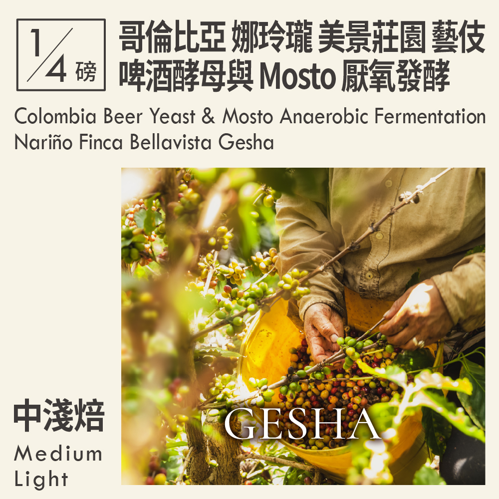 哥倫比亞 啤酒酵母與 Mosto 厭氧發酵 娜玲瓏 美景莊園 瑰夏/藝伎 0.25磅