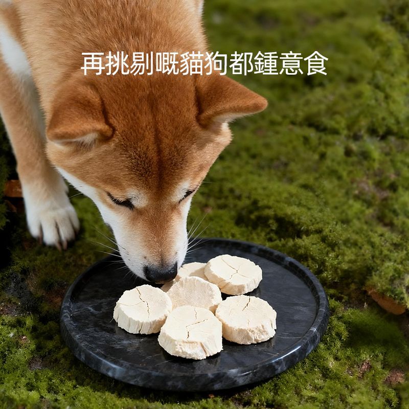 Taki 凍乾北海道帶子