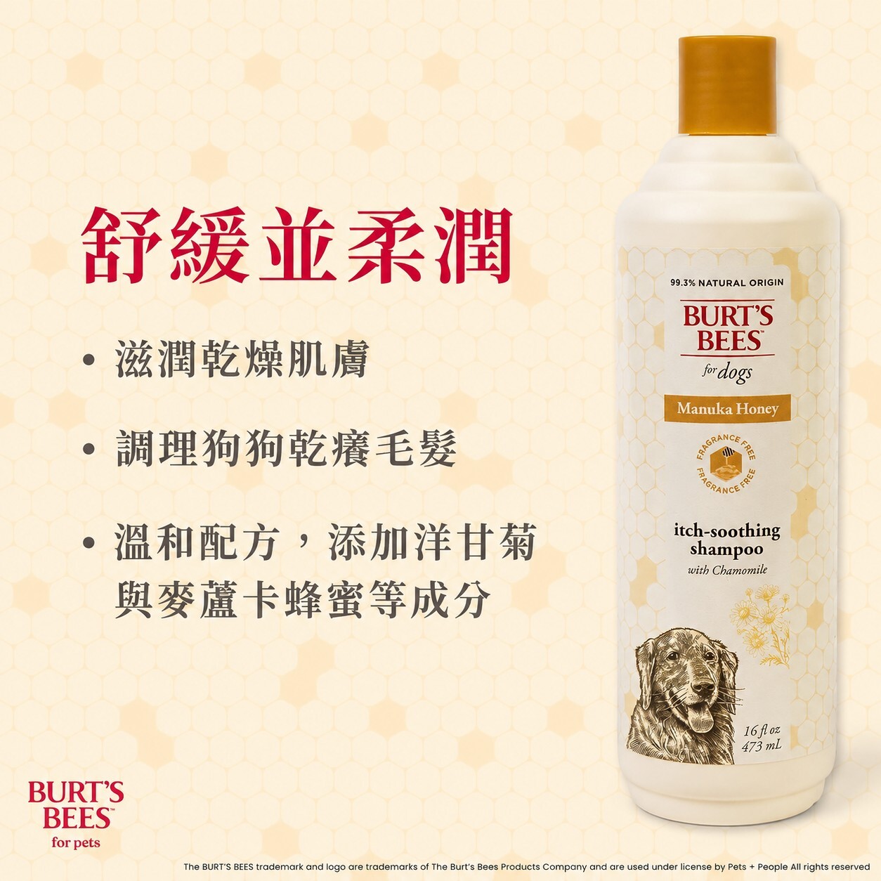 BB 麥盧卡抗癢沐浴露 (犬用)