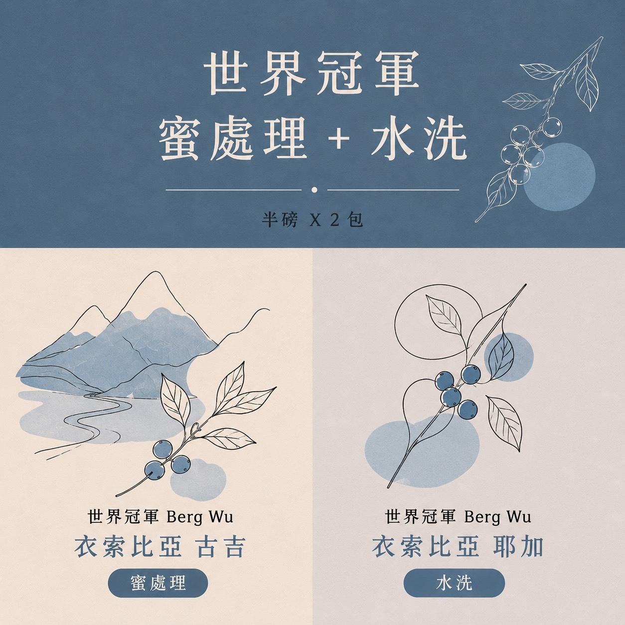 世界冠軍Berg wu古吉 蜜處理/世界冠軍Berg wu耶加 水洗 二件組