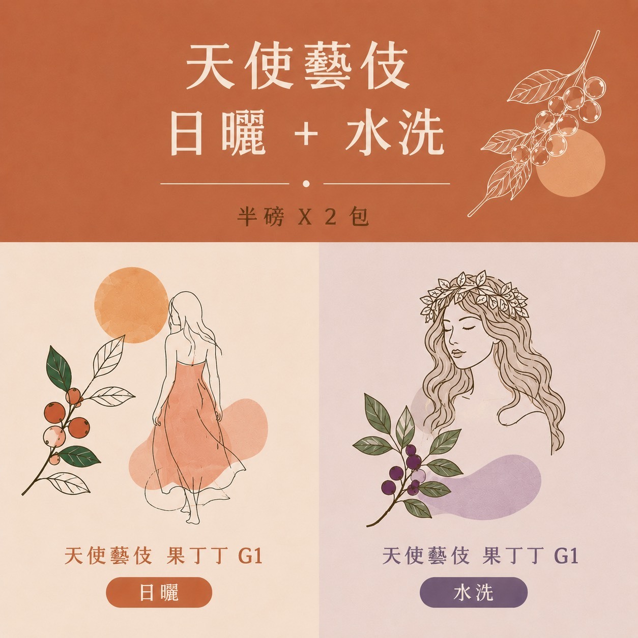 日曬 天使藝伎果丁丁/水洗 天使藝伎果丁丁 二件組