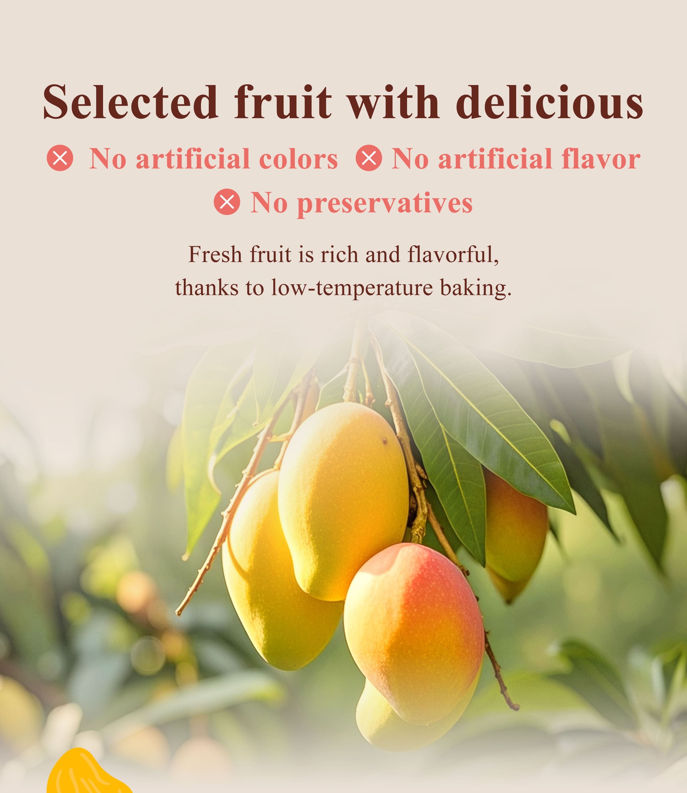 The Benefits of Dengyi Dried Fruit