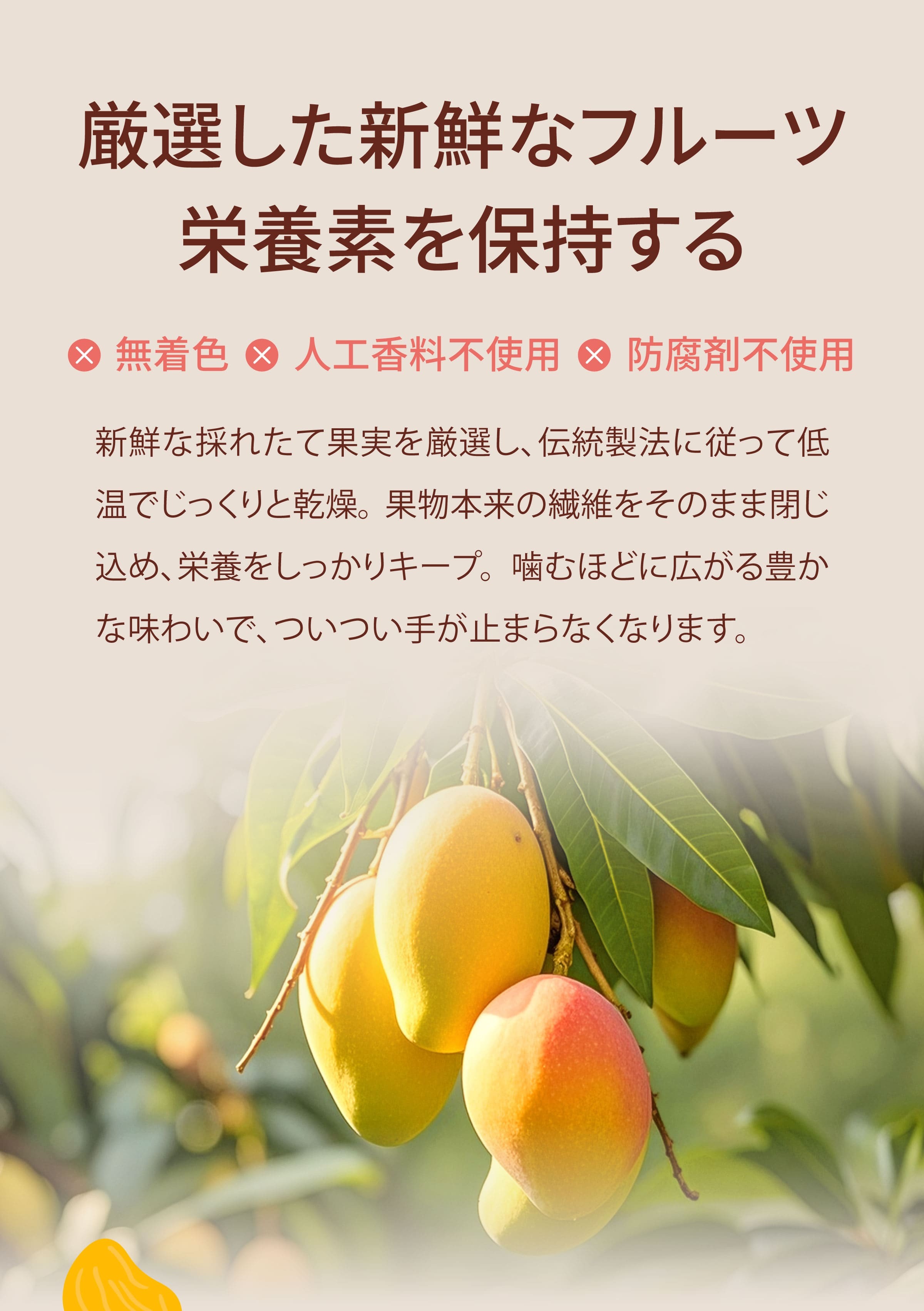 ドライフルーツのメリット
