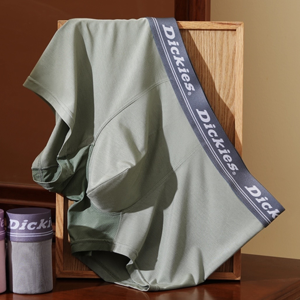 Dickies 莫代爾 吸濕排汗 高彈力 內褲 男款D252MF295
