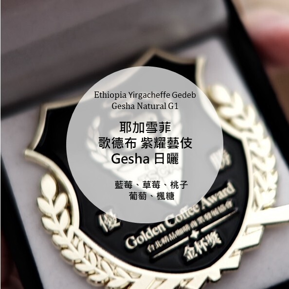 2026金杯獎 鷗咖啡虹吸組優勝 決賽選用豆 耶加雪菲  歌德布 紫耀藝伎 Gesha 日曬