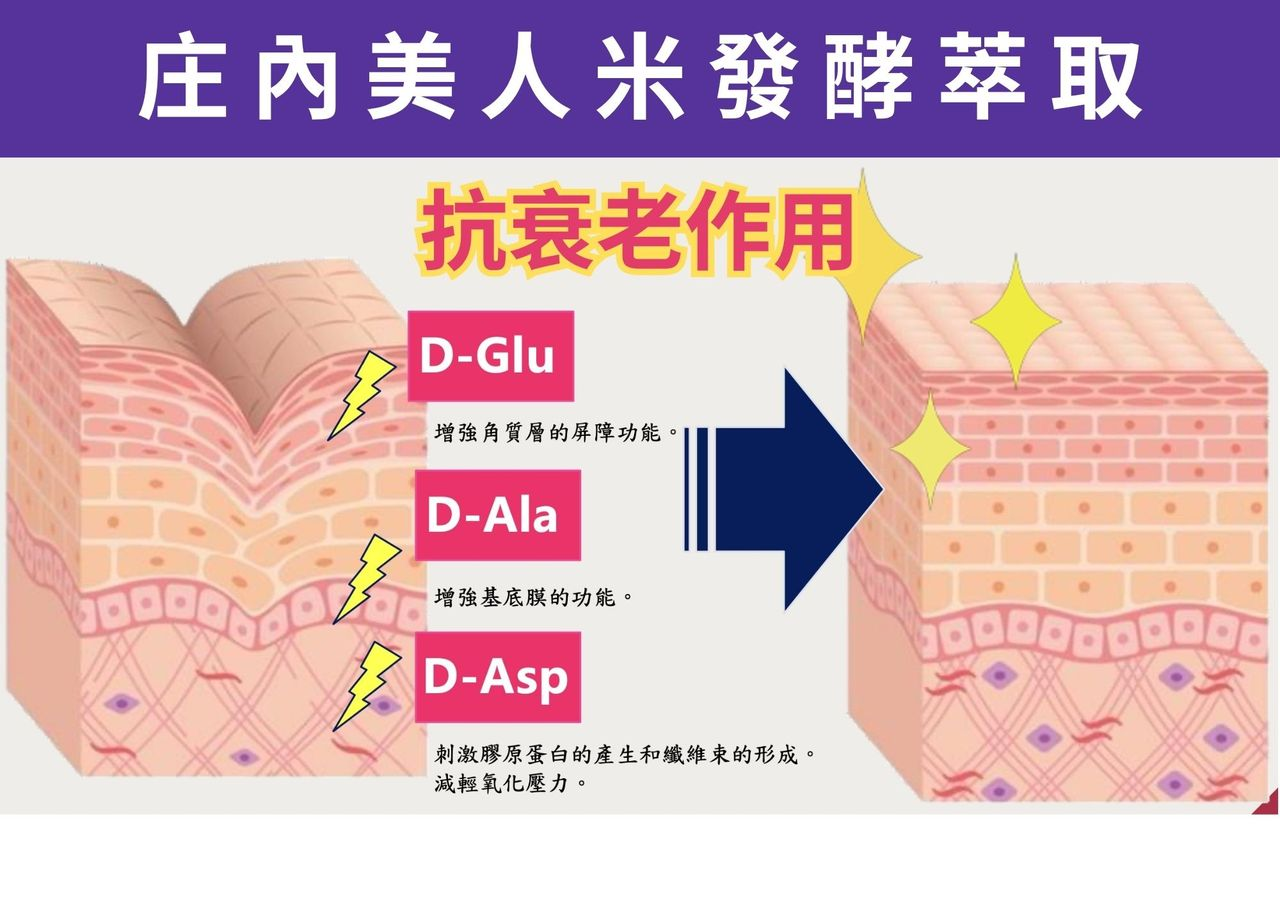 DL018 MOOI 美人酵母多肽緊緻面膜 25MLx5片/包