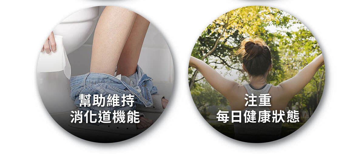 嚴萃生醫 日日敏-黃金三角益生菌 體質‧排便‧呼吸全面調整-7