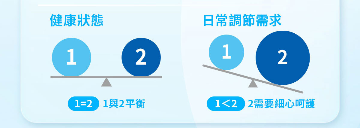 嚴萃生醫 日日敏-黃金三角益生菌 體質‧排便‧呼吸全面調整-10