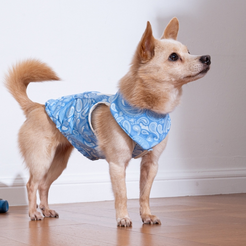 puppygallery｜ 變形蟲涼感領巾