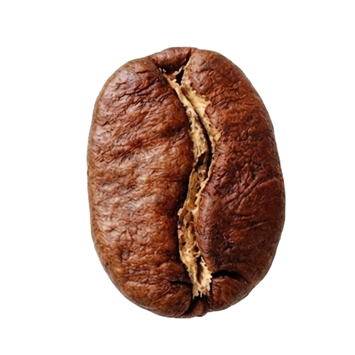阿拉比卡咖啡豆