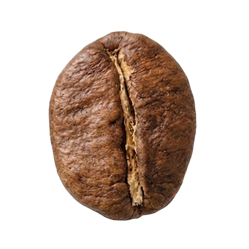 羅布斯塔咖啡豆
