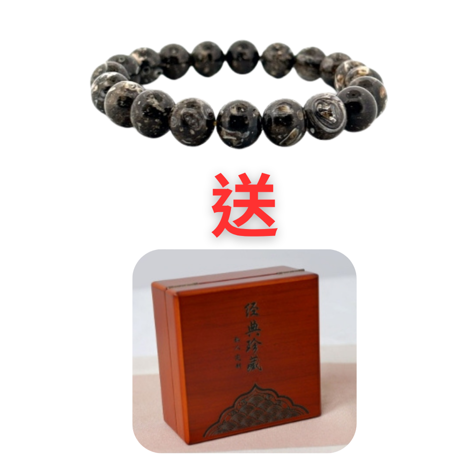 BRA-JJG0813-022 02841533~泰國龍宮黑龍洞圓珠手串8mm(含台大證書) 送 經典珍藏木盒(9*9) (A22)