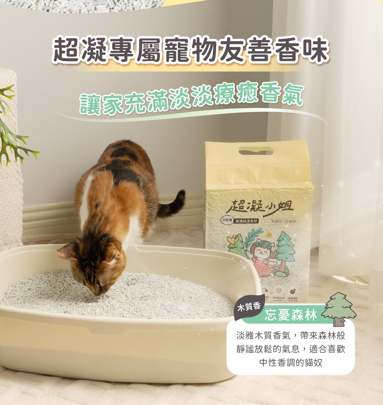 超凝小姐忘憂森林香貓砂與使用中的貓咪