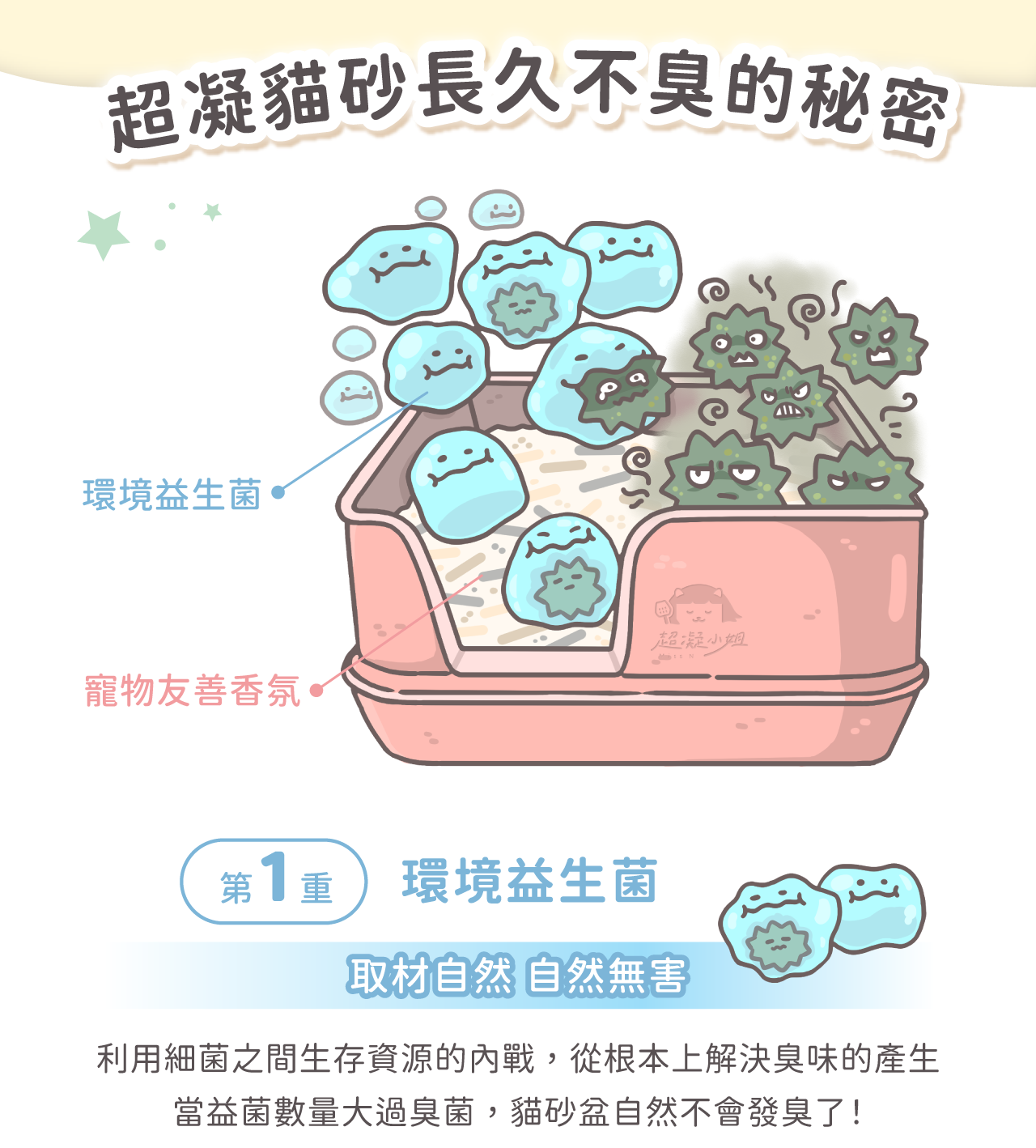 環境益生菌與寵物友善香氛,長效除臭貓砂示意
