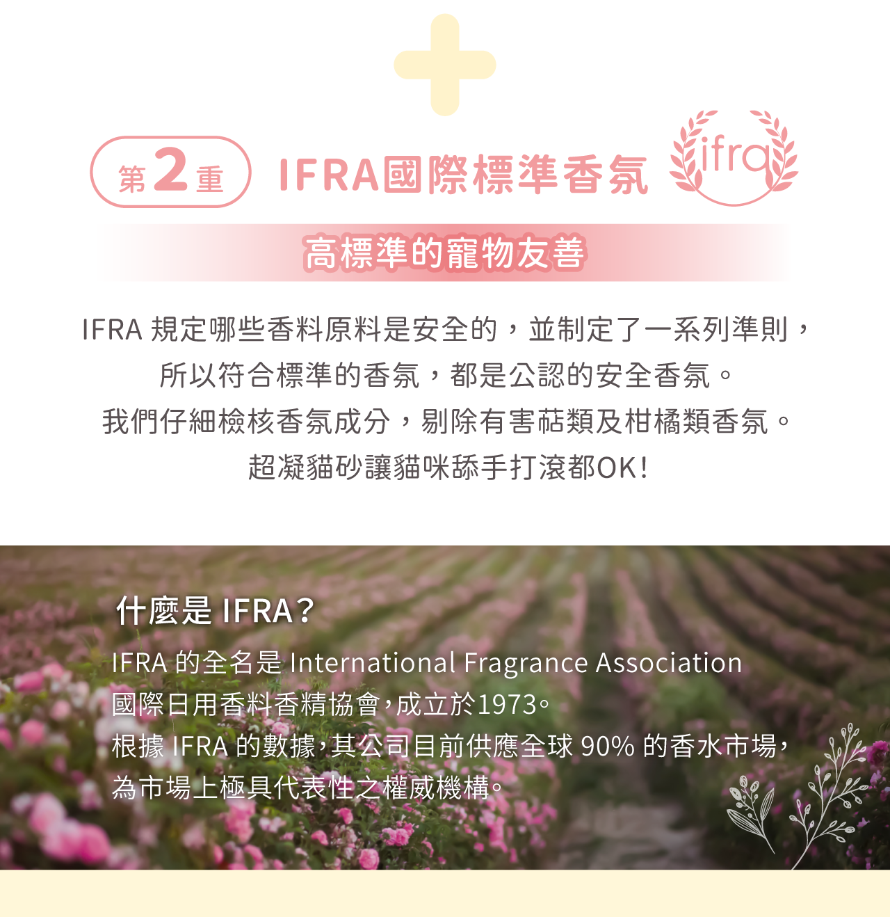 IFRA 國際標準香氛,超凝小姐貓砂安全香氣說明