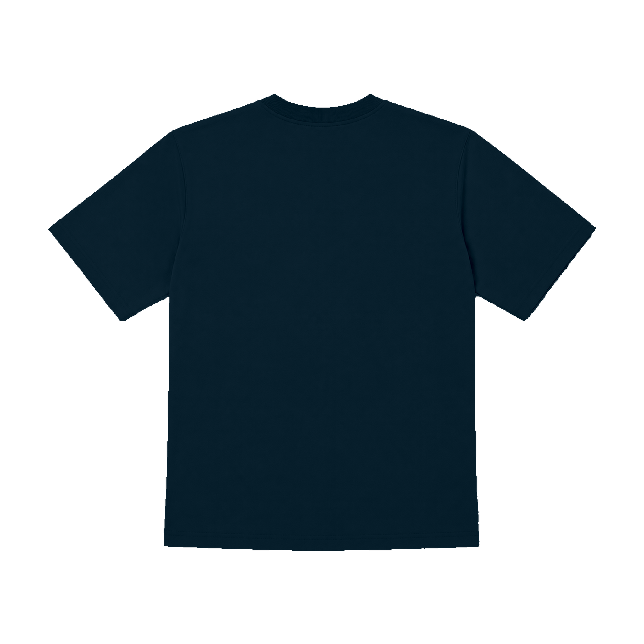 TAIWANIZE ECOLIZE 丹頂鶴立体刺繍リサイクルBOXY Tシャツ