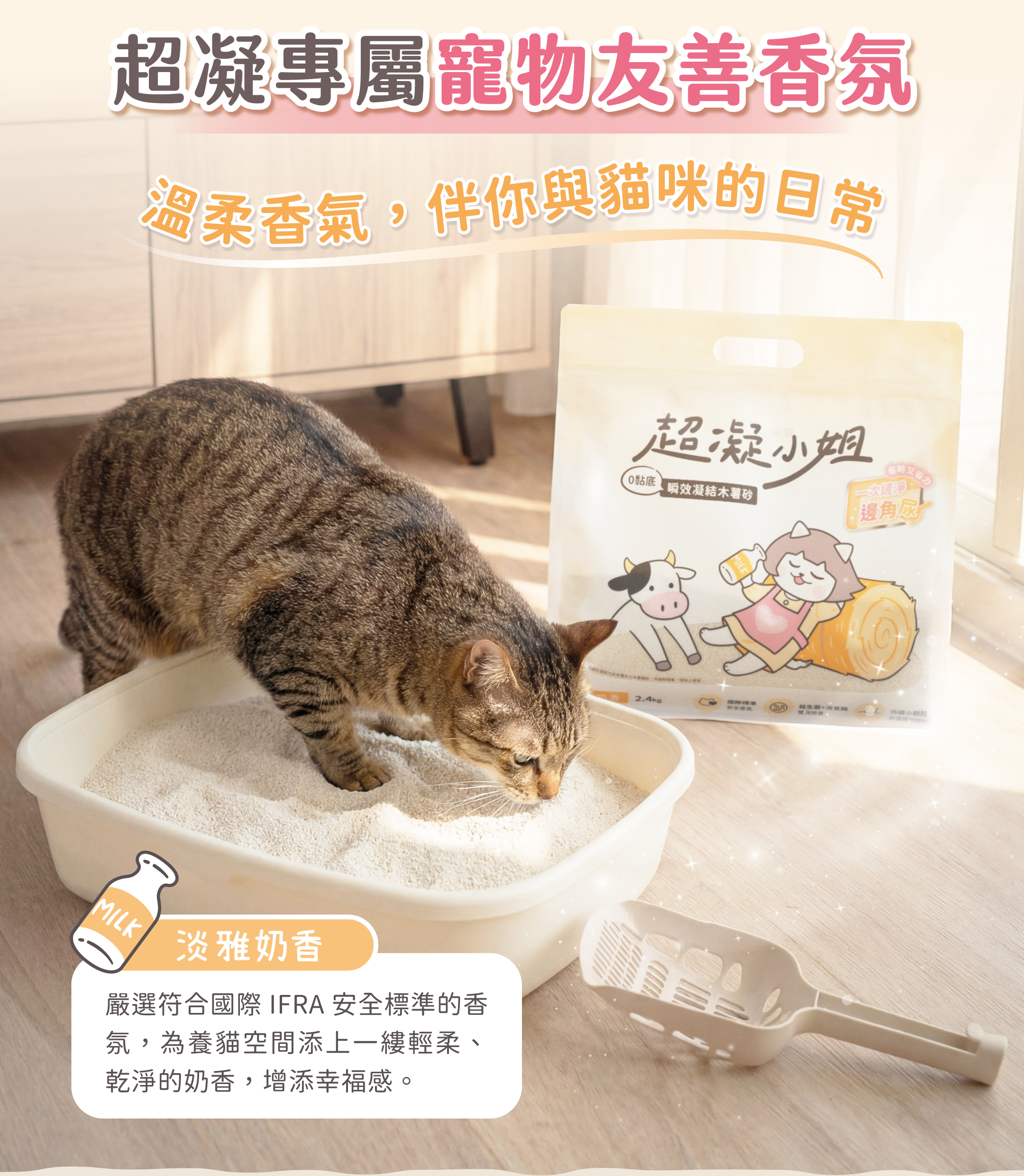 超凝小姐 LadyN 淡雅奶香木薯砂產品資訊圖 2