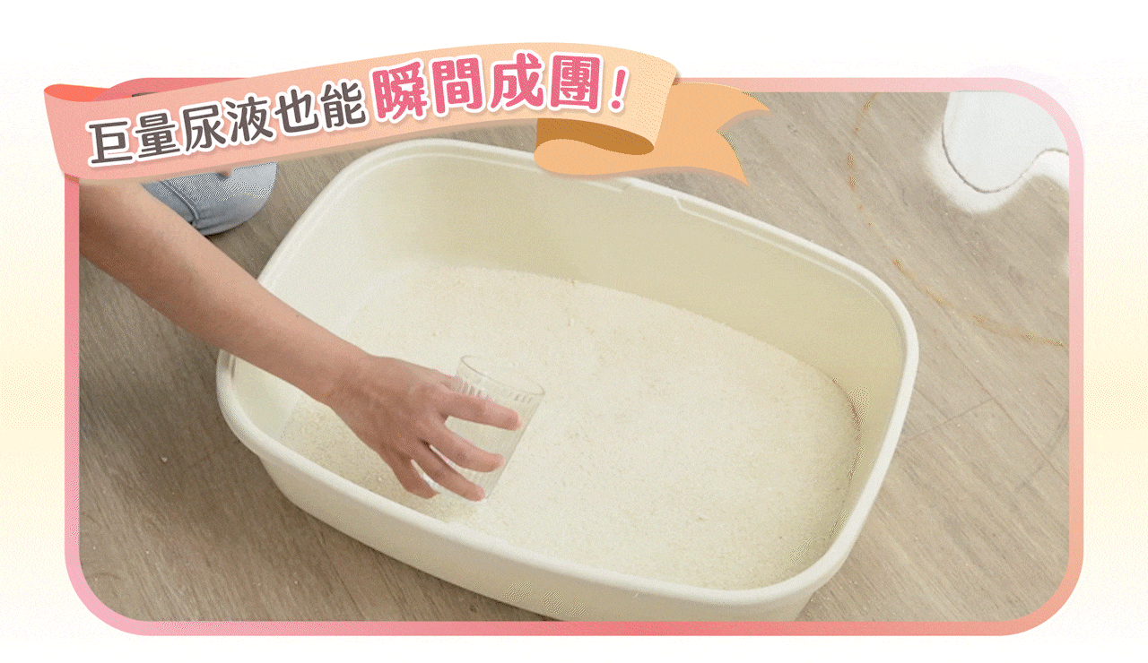 超凝小姐 LadyN 淡雅奶香木薯砂產品資訊圖 5