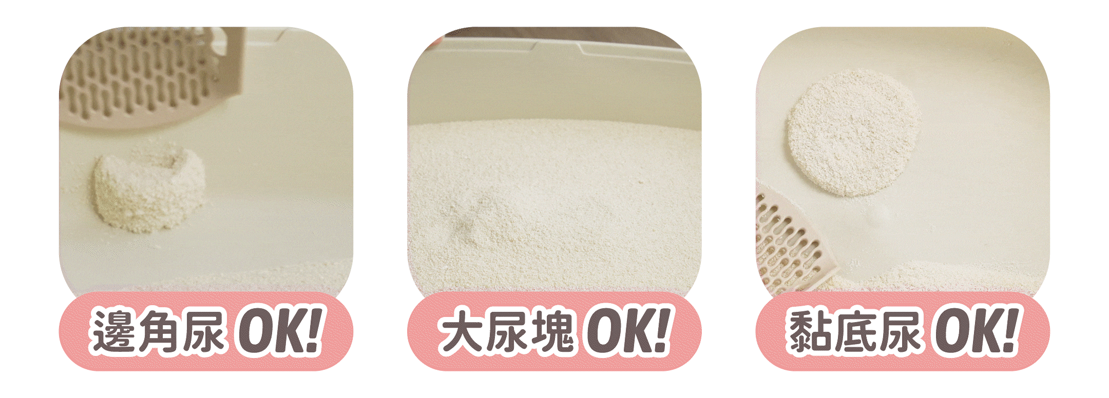 超凝小姐 LadyN 淡雅奶香木薯砂產品資訊圖 7