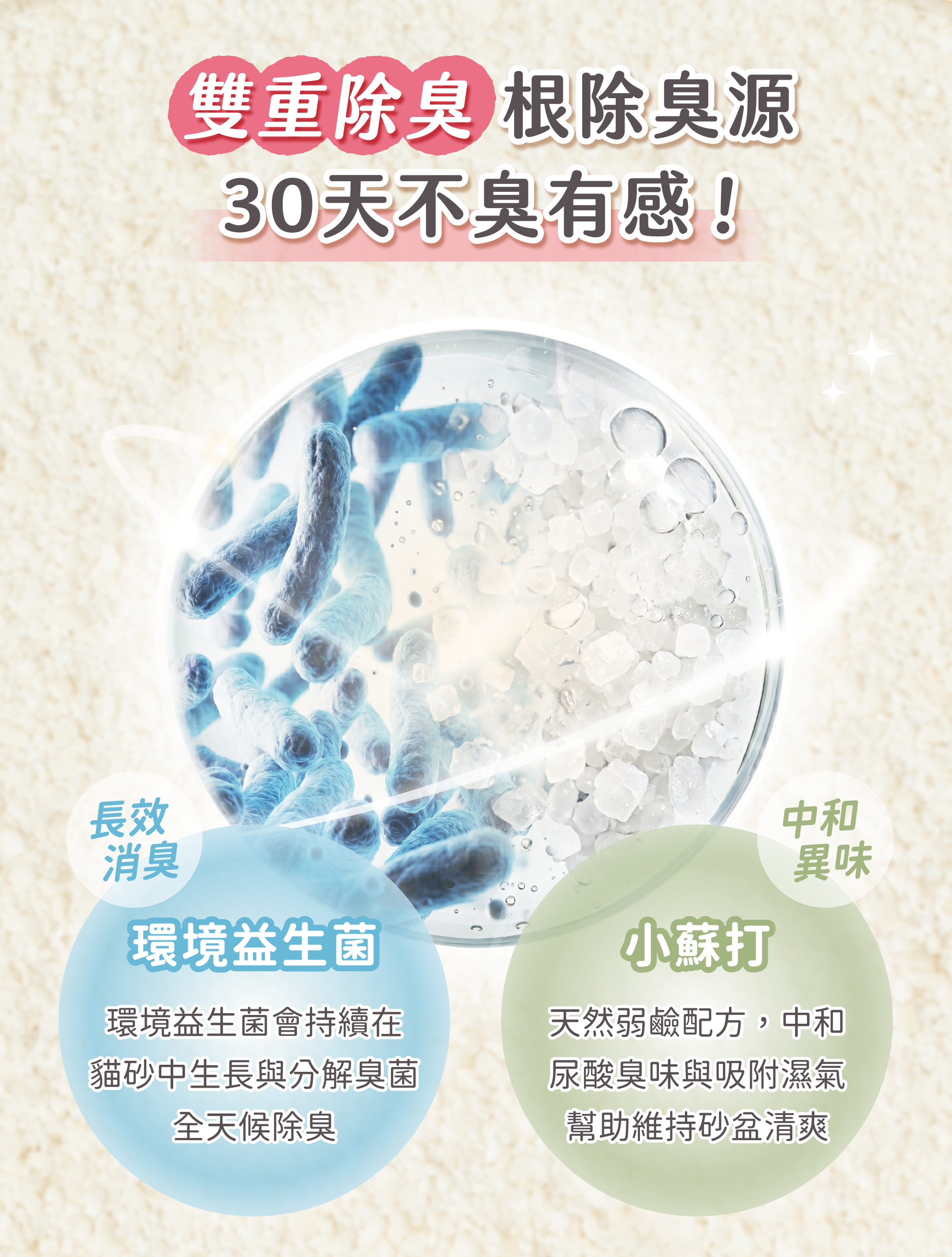 超凝小姐 LadyN 淡雅奶香木薯砂產品資訊圖 10