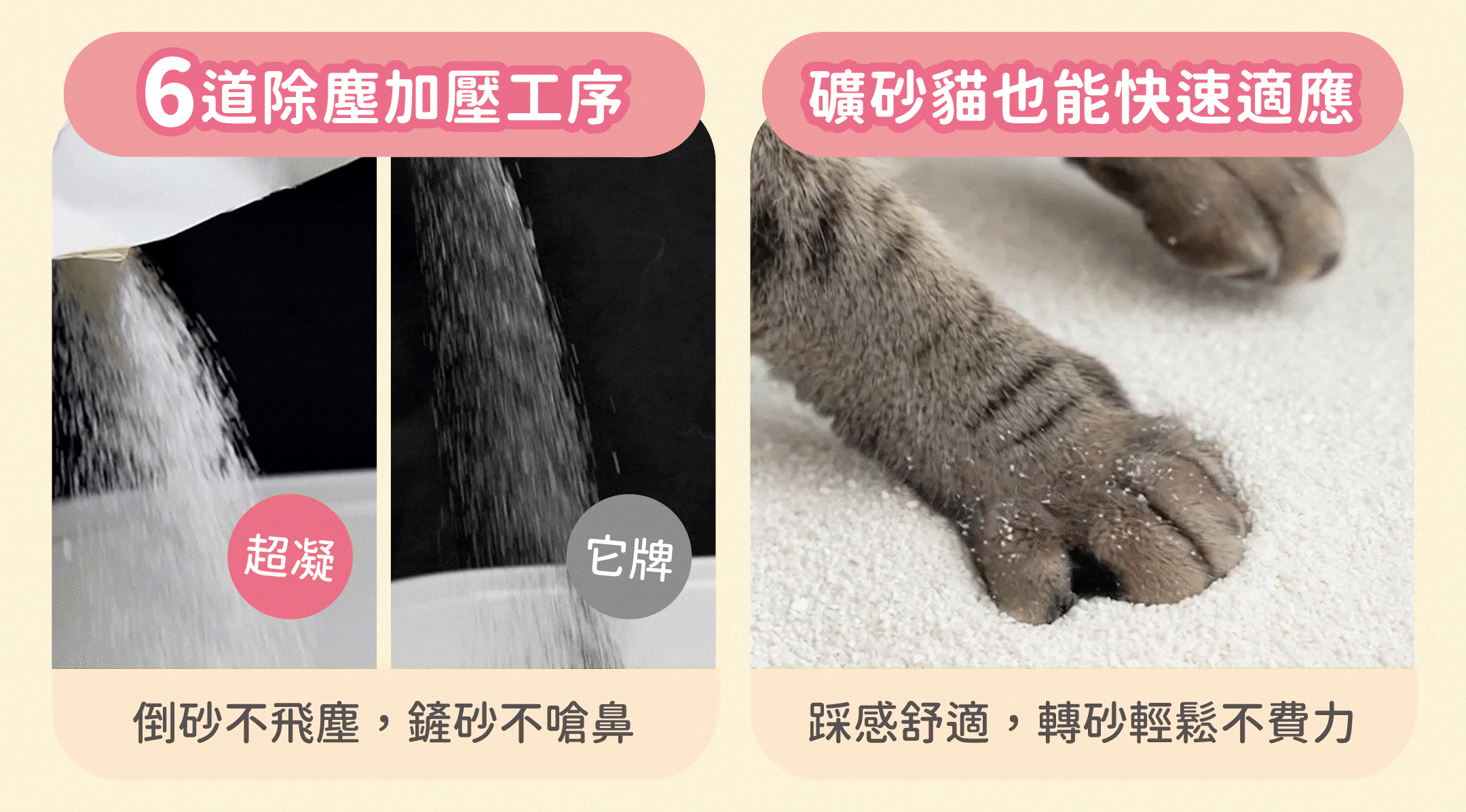 超凝小姐 LadyN 淡雅奶香木薯砂產品資訊圖 13