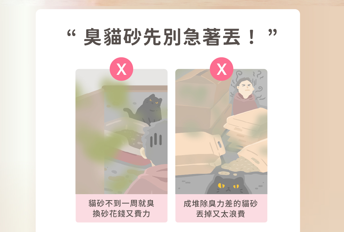 貓砂異味困擾與益生菌除臭微粒日常管理