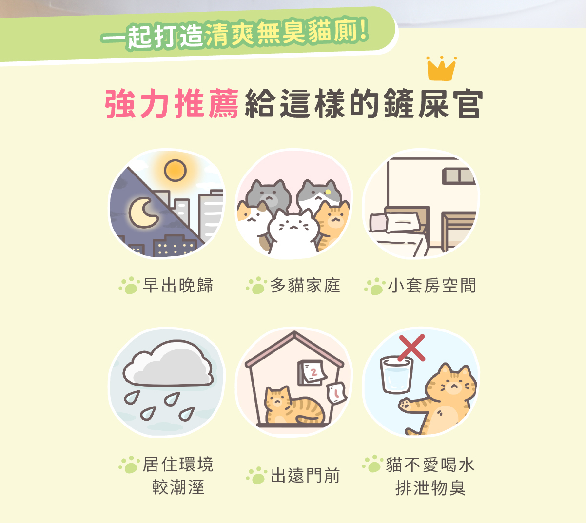 不同生活場景的砂盆異味管理