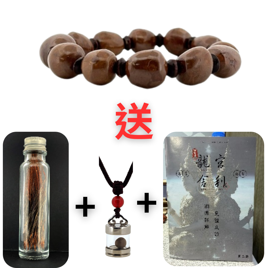 BRA-JJG0813-005 02835051~特優老礦血舍利/25g+ 送 髮舍利罐裝+龍宮小冊本第二版+龍宮老礦血舍利嘎嗚(短款/單顆) (A5)