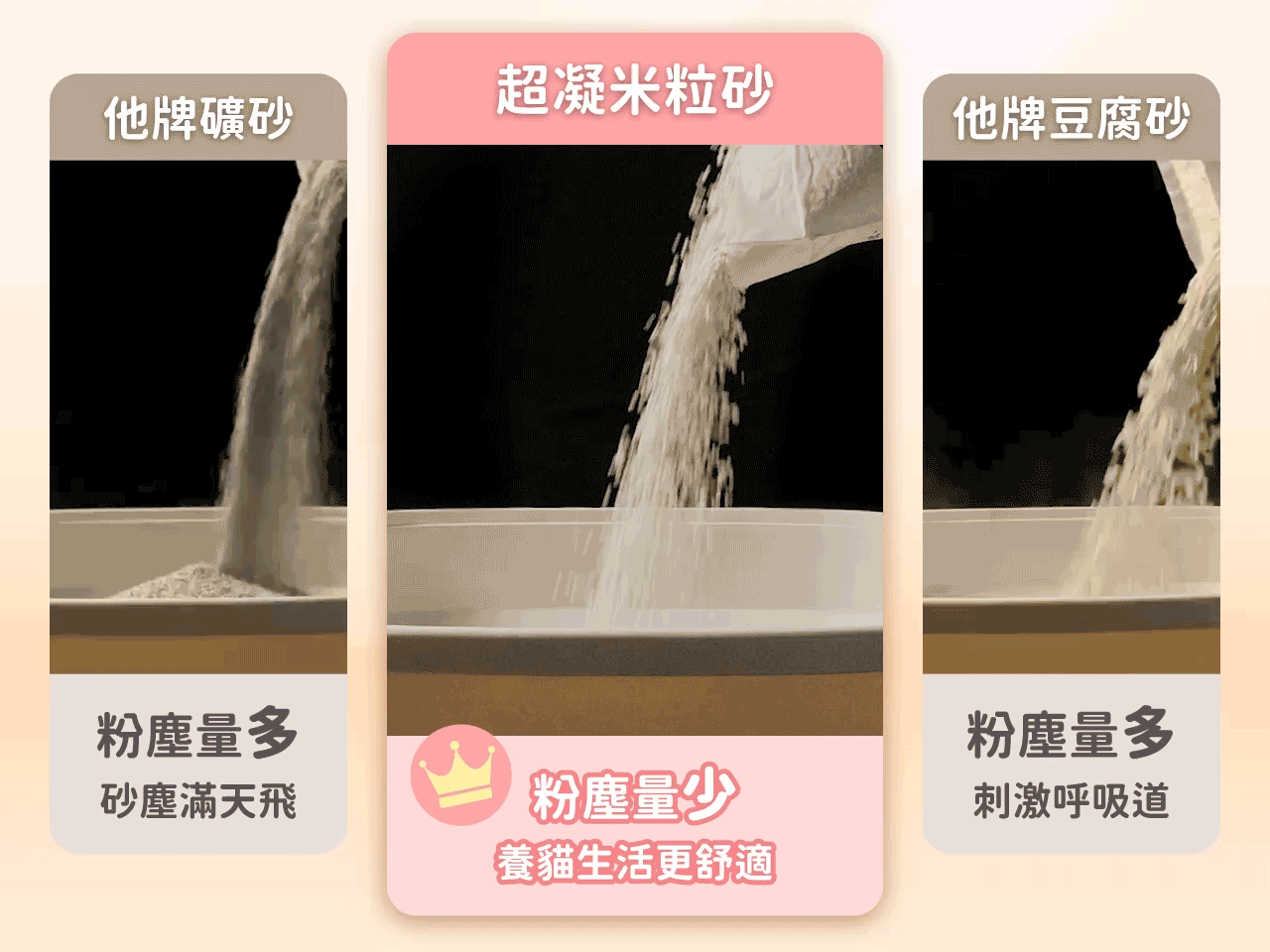 LadyN 豆腐砂使用示範