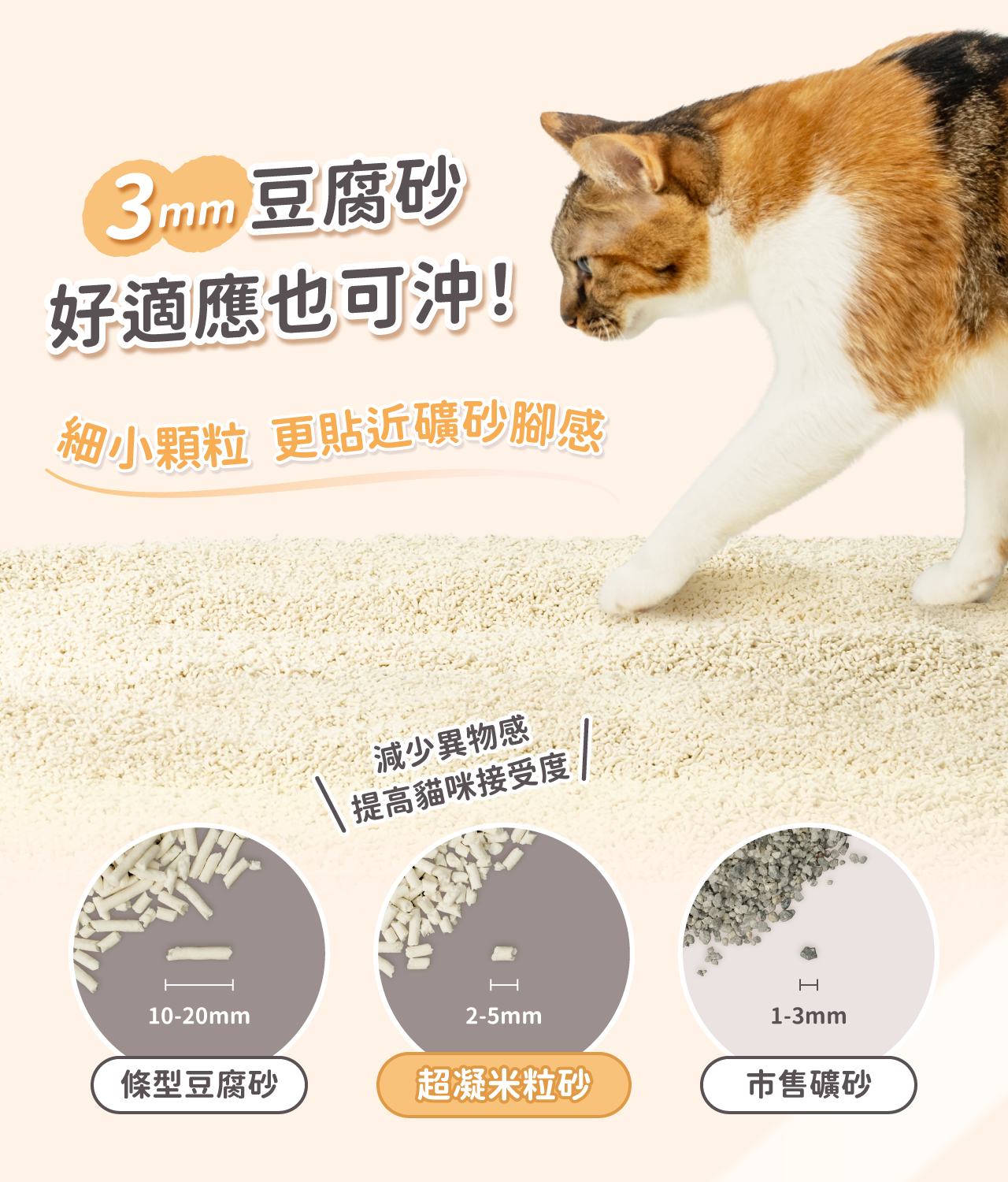 LadyN 豆腐砂益生菌長效除臭