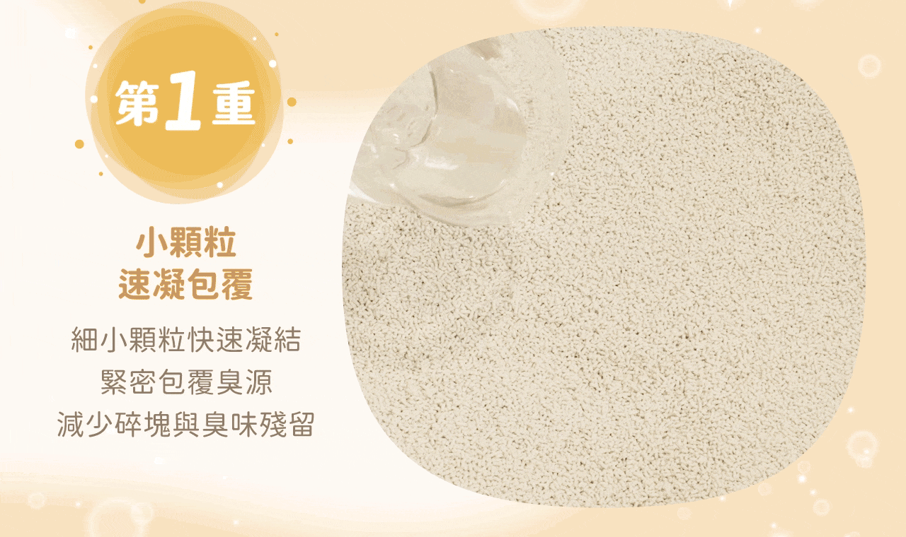 LadyN 豆腐砂沖馬桶使用說明