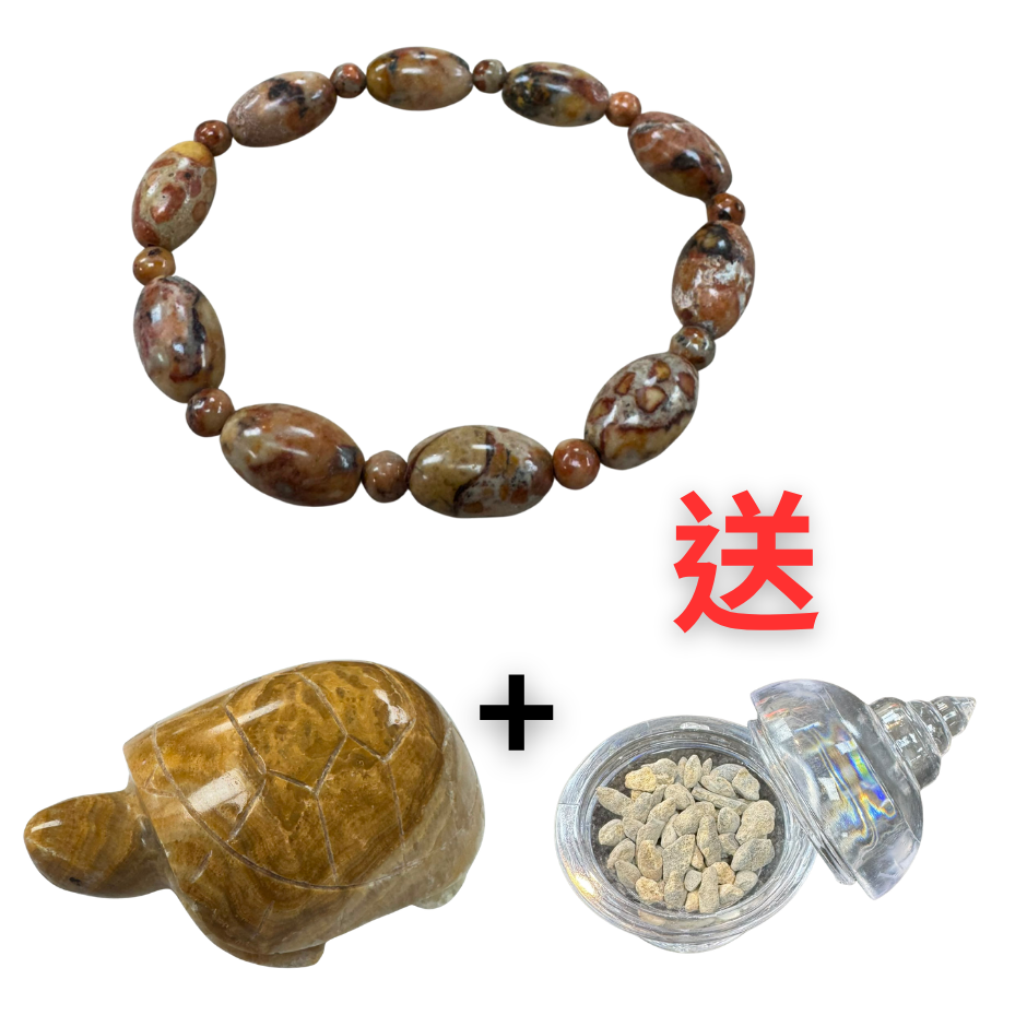 BRA-JJG0813-007 10600870~泰國龍宮舍利財寶桶珠(約9mm)(含伊犁珠寶鑑定小證) 送 泰國龍宮舍利大烏龜約100mm+黑米舍利塔 (A7)