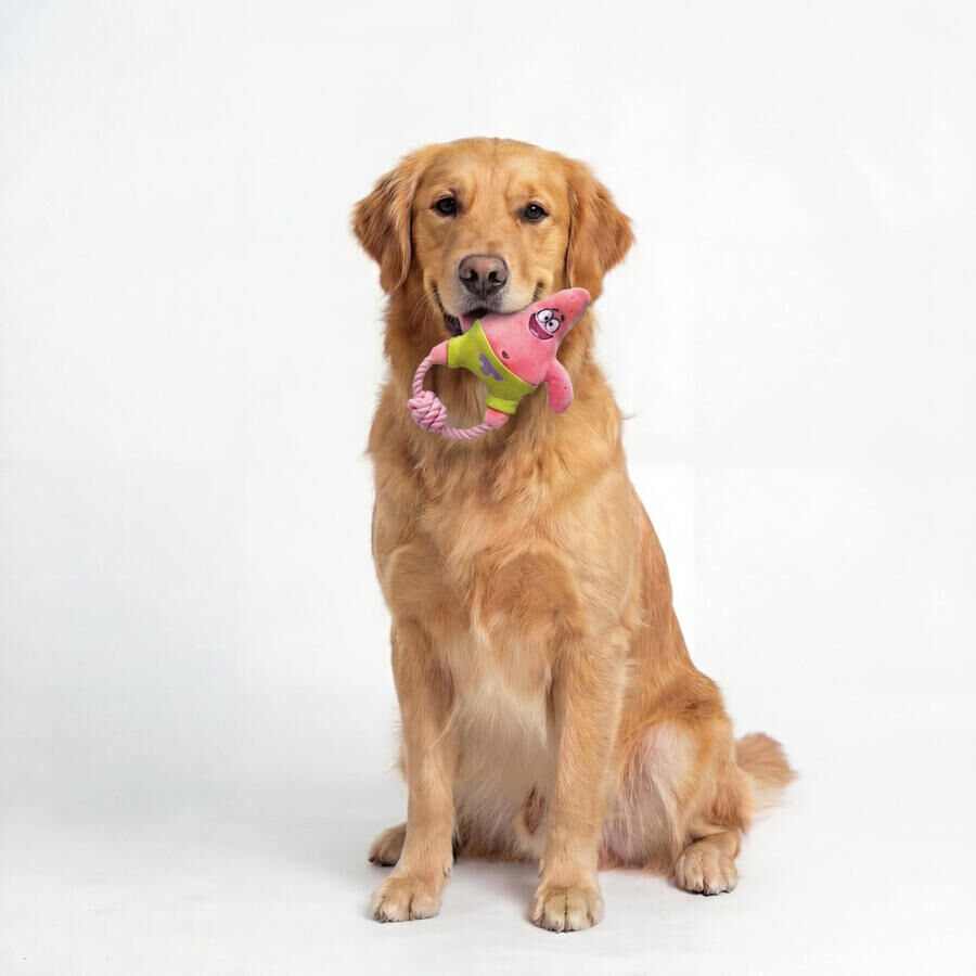 7.5"派大星小型犬拉力寵物玩具