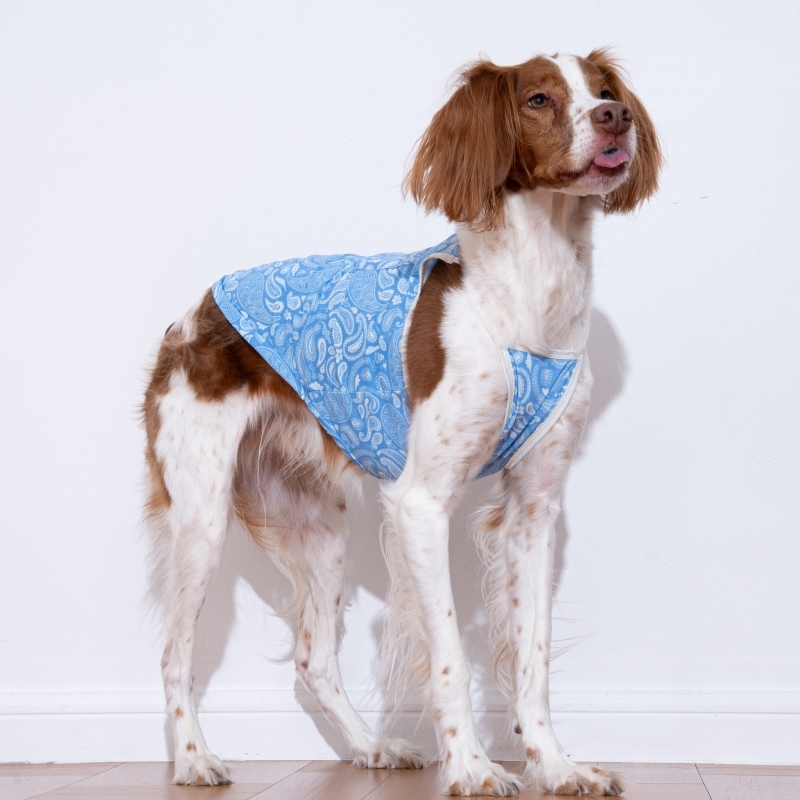 puppygallery｜ 變形蟲涼感背心