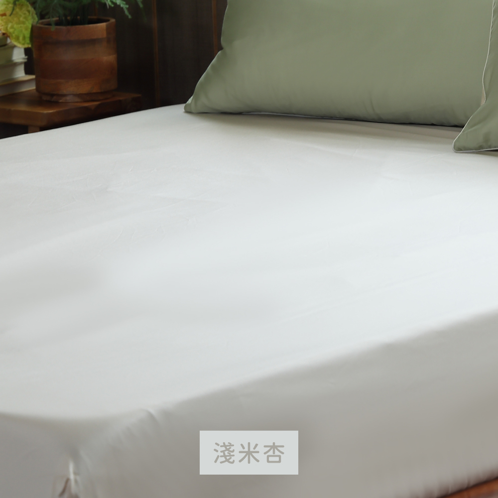 淺米杏 色卡
