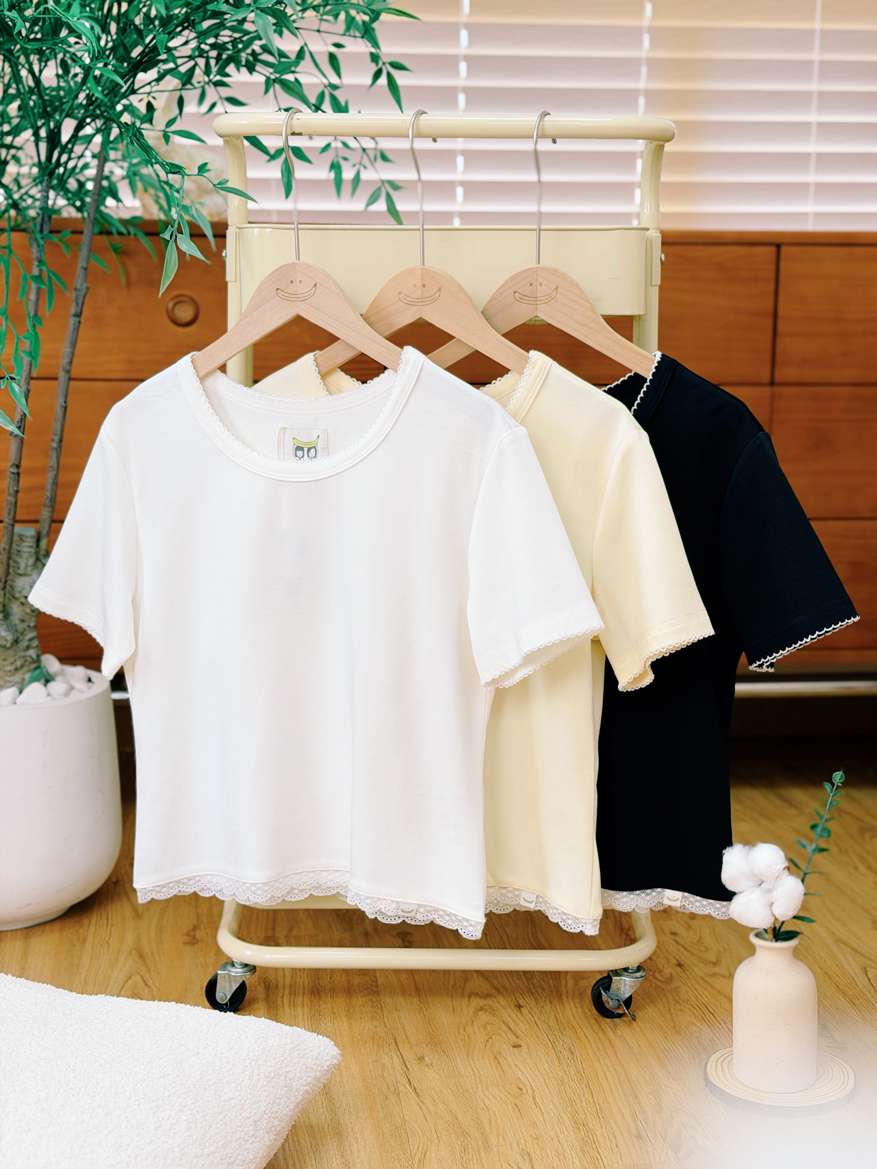 三色 / 柔滑莫代爾蕾絲短袖上衣 / Soft Modal Lace Trim Short Sleeve Top