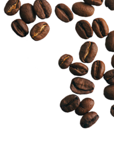 Coffee Beans Graphics