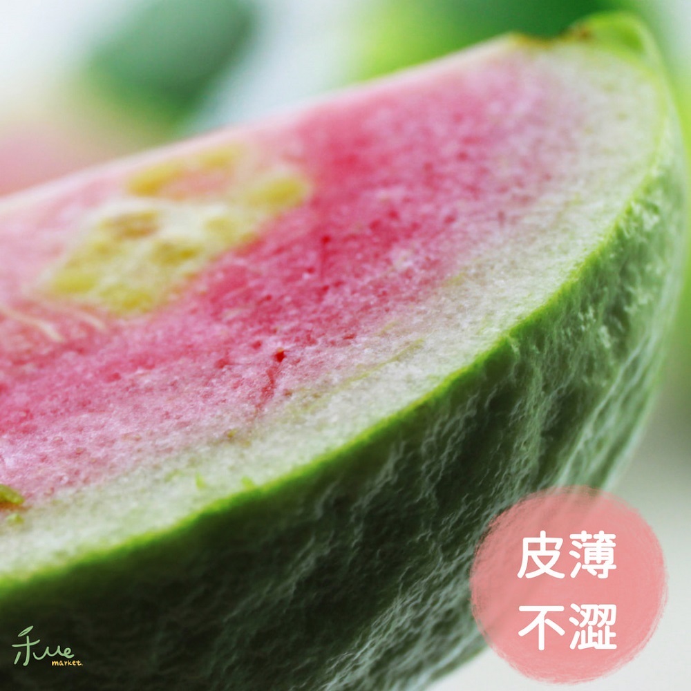 【屏東】紅心芭樂王