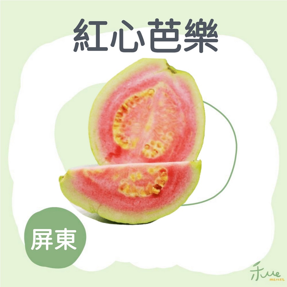 【屏東】紅心芭樂王
