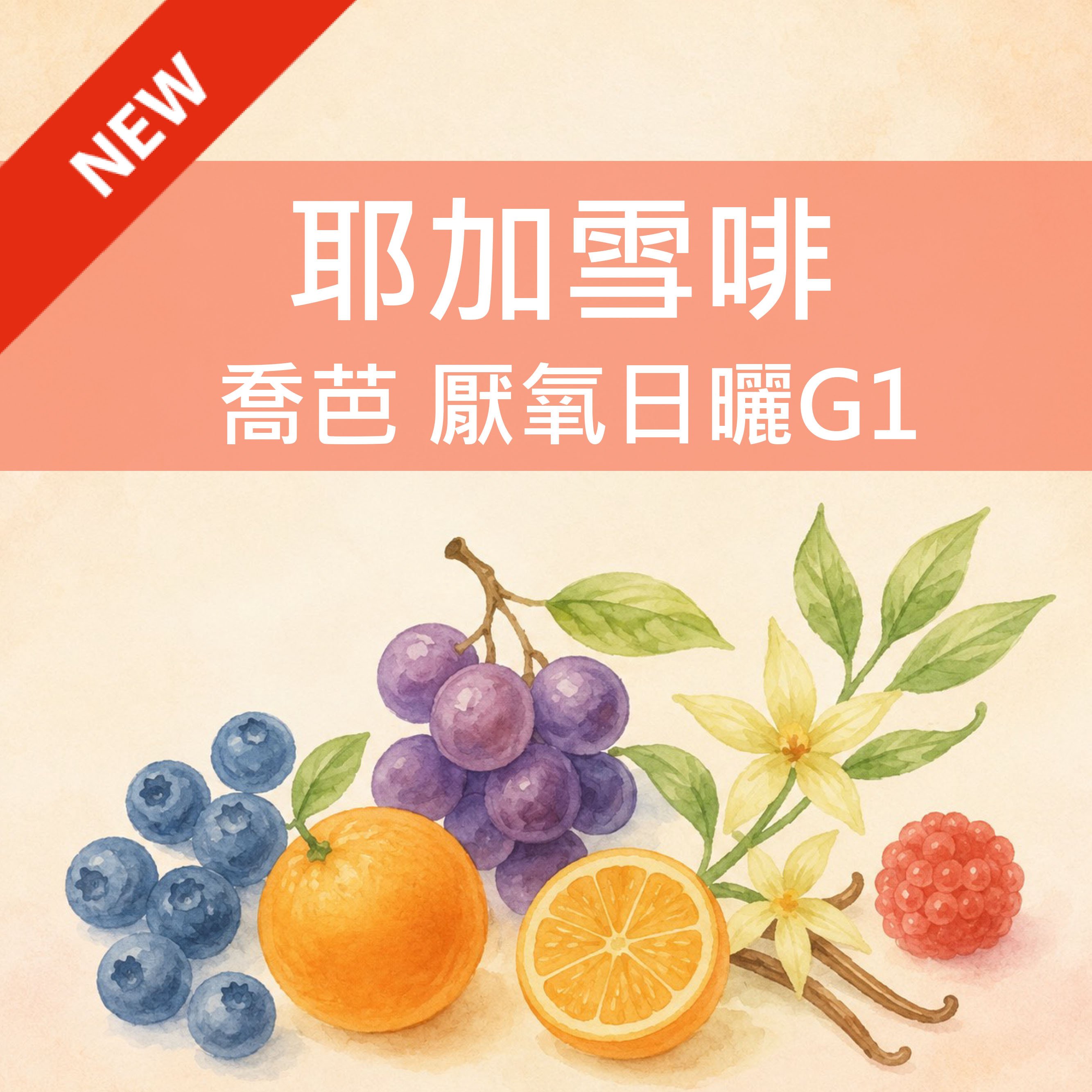 衣索比亞 耶加雪啡 喬芭 厭氧日曬 G1