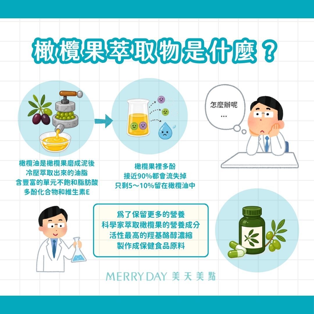 橄欖果萃取物是什麼?