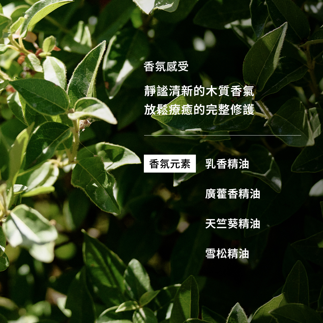 全效修護精華