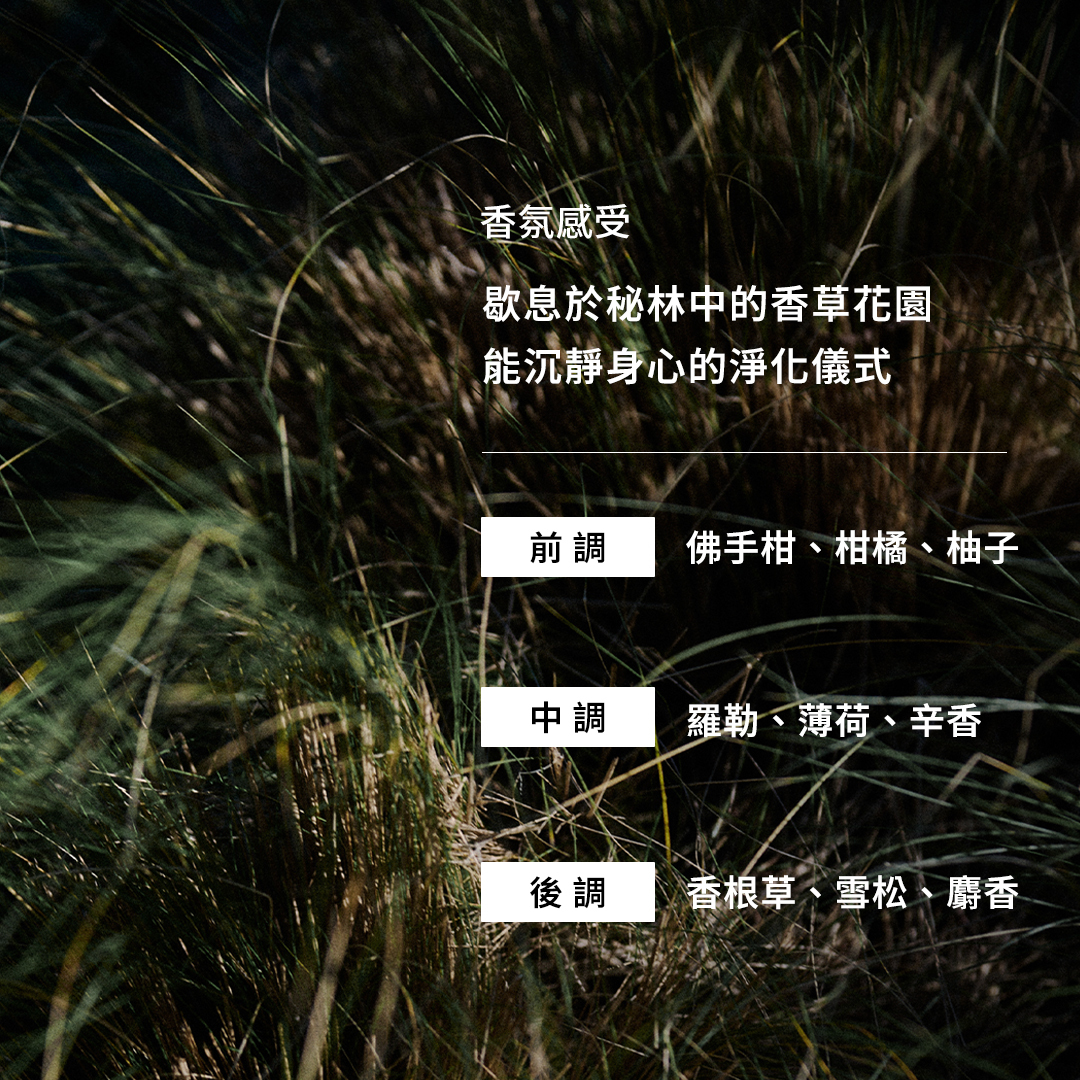 豐盈淨化洗髮露