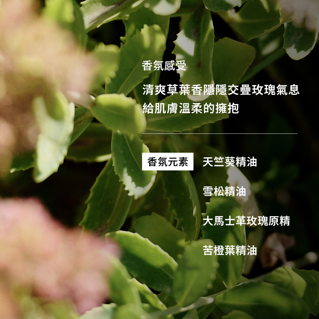 全效修護乳霜